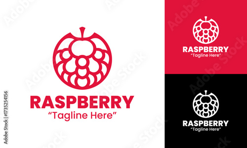 Raspberry Logo Professional Creative Brand Design