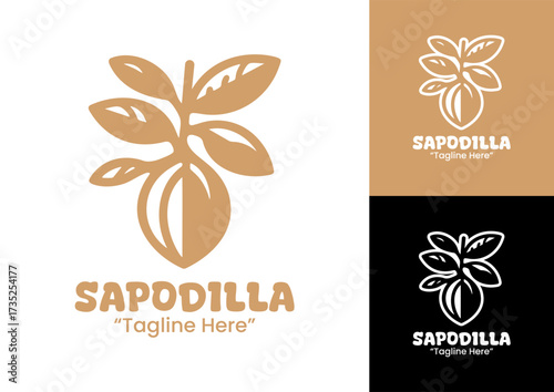 Sapodilla Logo Modern Minimalist Tropical Identity