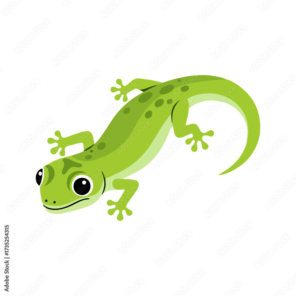 Naklejka premium Green lizard with a white background