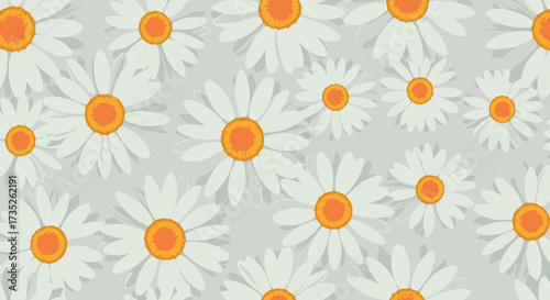 A gentle collection of numerous daisies scattered across a soft gray backdrop.