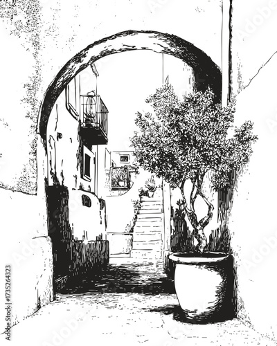Sketchy Mediterranean courtyard with arch and potted olive tree. Hand-drawn rustic line art scene for decor, tourism, wall art.