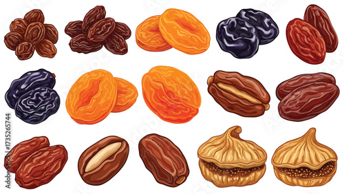 A collection of various dried fruits including raisins, apricots, prunes, dates, and figs, illustrated in a detailed vector style on a white background.