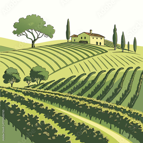 Vector art of a picturesque illustration of a vineyard landscape with rolling hills, rows of grapevines, trees, and a charming house, capturing the essence of rural beauty and viticulture