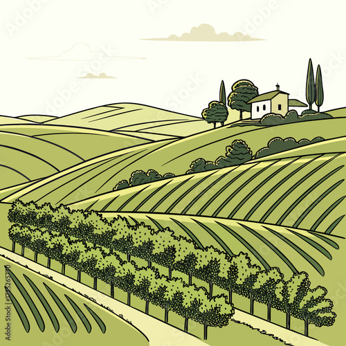 Vector art of a serene illustration of a vineyard landscape featuring rolling hills, rows of grapevines, trees, and a charming house, capturing the tranquility of rural life and viticulture