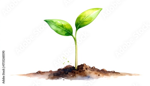 Watercolor Illustration of a Young Plant Emerging from the Earth