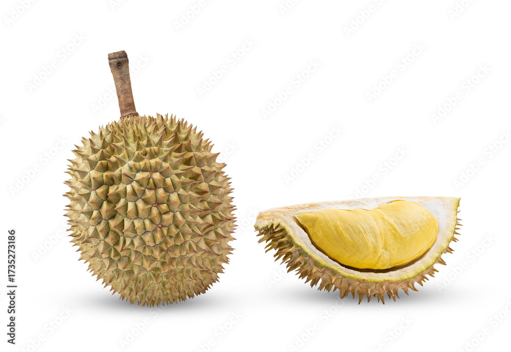 Obraz premium Durian isolated on transparent png ( image from camera )