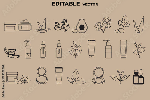 Hand drawn vector illustrations of natural skincare products and botanicals