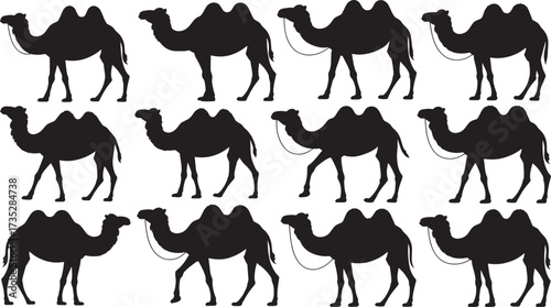 Seamless Pattern of Desert Dromedary Camel Silhouettes in Black and White High-Quality Repeating Vector Illustration of Middle Eastern Wildlife and Safari Animals