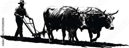 Farmer with Oxen, Plowing, Agriculture