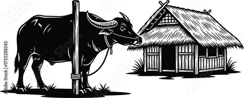 Traditional water buffalo with hut, rural scene, Southeast Asia