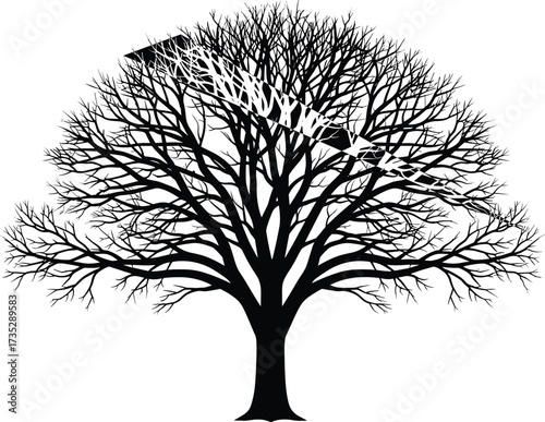 Deciduous tree silhouette with triangle overlay illustrating geometry concept, real-world trigonometry, nature-based math visualization, and educational vector design
