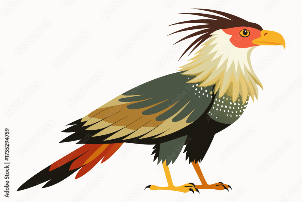 Obraz premium crested caracara bird