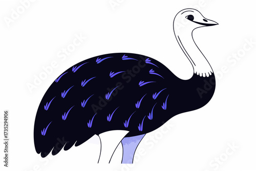 Emu australia national bird