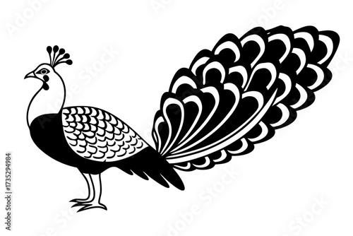 green pheasant japan national bird