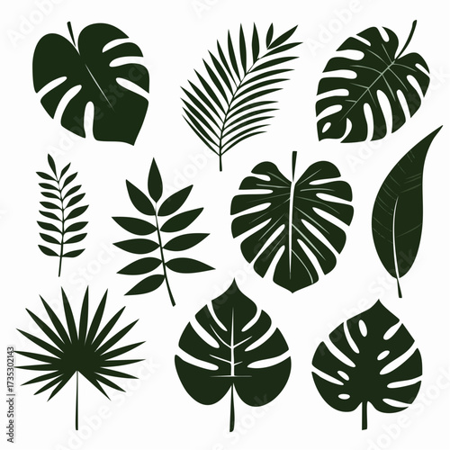 Tropical leaf silhouette black and white collection
1