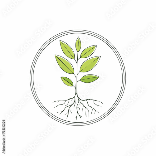 Illustration of a young plant with roots and leaves, enclosed in a circular frame, symbolizing growth and nature.