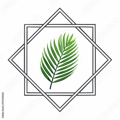 A green palm leaf is centered within a double-lined square frame, creating a minimalist and elegant design.