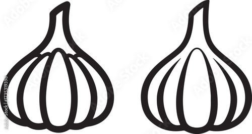 Illustration of two garlic bulbs isolated on white background