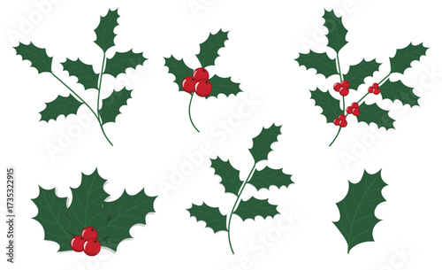 Christmas holly leaves with red berries set vector illustration isolated