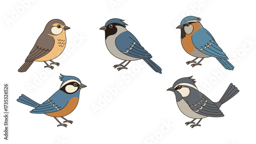 Array of Birds: A charming illustration featuring a collection of vibrant bird species, each with its unique plumage and personality, ready to brighten your day.