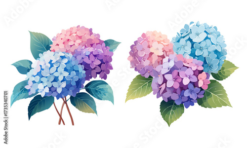 A watercolor artwork of hydrangea flowers with clustered petals in blue and purple tones isolated on a pure white background.
