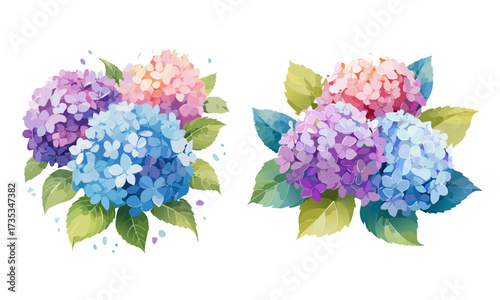 A watercolor artwork of hydrangea flowers with clustered petals in blue and purple tones isolated on a pure white background.
