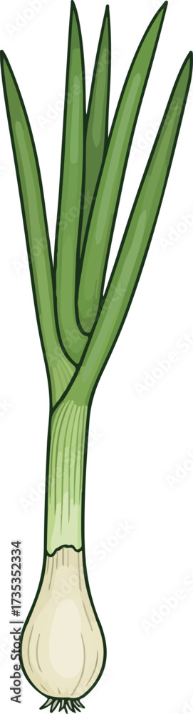 Obraz premium 대파 