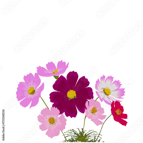 秋の高原の花畑に咲くコスモスの花の群落、Blenderで作ったイメージ3Dイラストです。3D render Blender render.