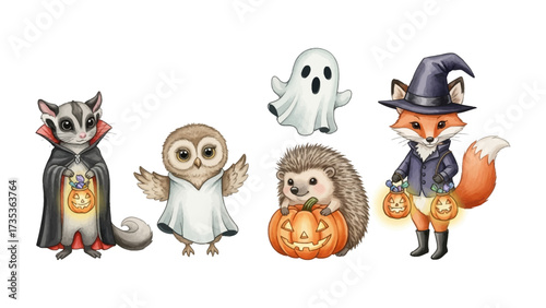 Halloween Enchantment: A charming collection of Halloween-themed illustrations showcasing delightful sugar glider, an owl in a white sheet, a playful ghost, a hedgehog carrying a pumpkin.