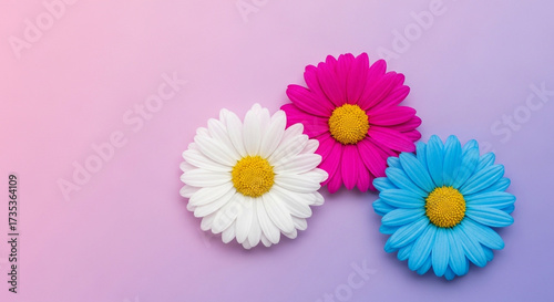 Minimalist Floral Flat Lay with Clean Design and Color Fields
