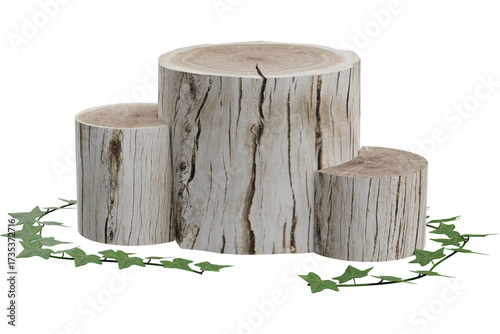 Fototapeta Naklejka Na Ścianę i Meble -  Tree Trunks Podium 3d Render Cutout, transparent background