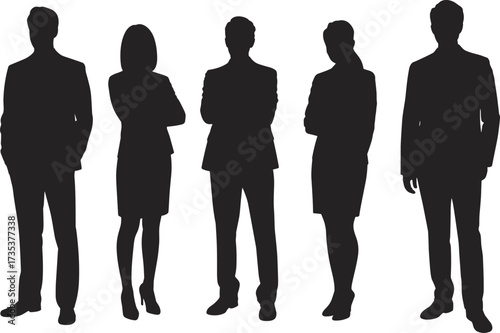 Business team silhouette, professional group, leadership concept, corporate unity, executive posture, career success, office culture, strategic planning, confident stance, management vision, teamwork 