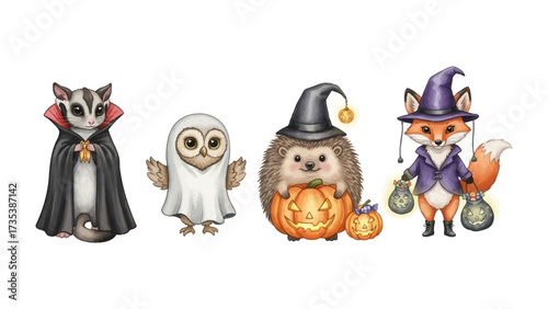 Whimsical Halloween: a charming composition of sugar glider, owl, hedgehog and fox, each costumed for Halloween, brings a touch of enchantment to the festive season. 