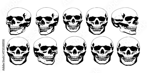 Set of 12 detailed skull portraits
