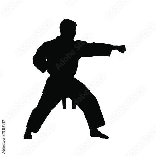 silhouette of a karateka performing a punch
