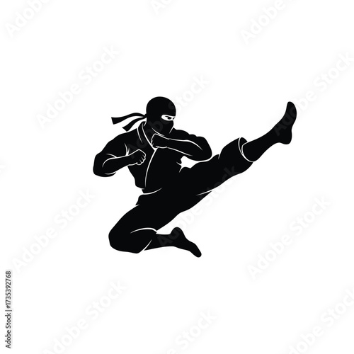 silhouette of a ninja performing a flying kick