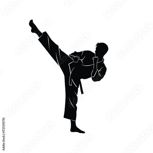 karateka performing a high side kick