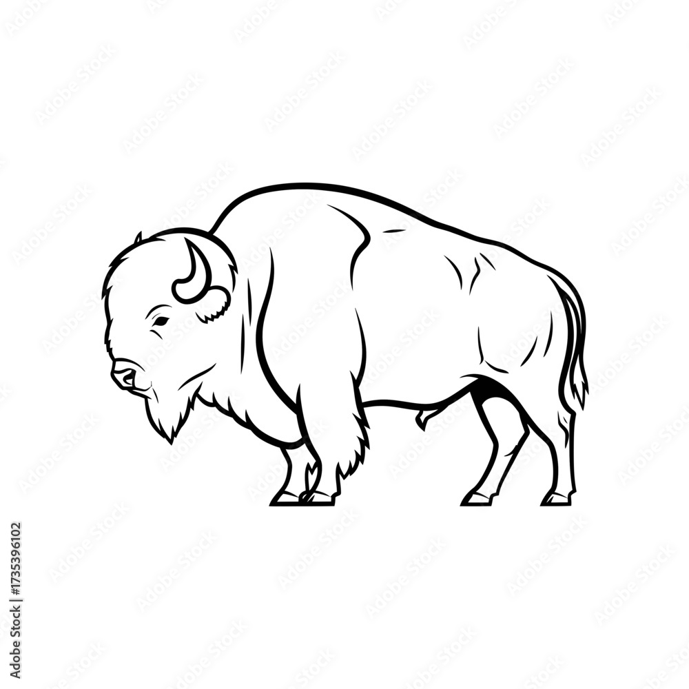 Fototapeta premium Bison illustration in black and white outline drawing style