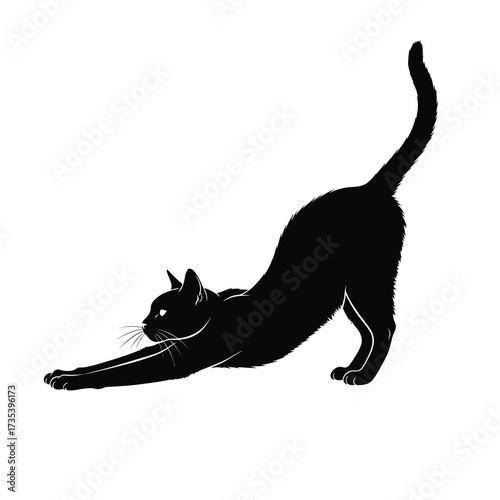 black cat stretching