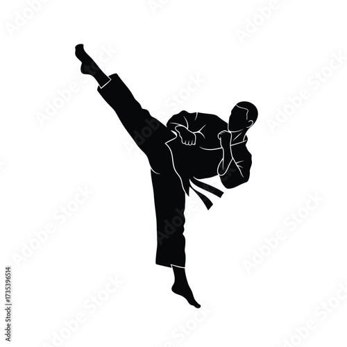 silhouette of a martial artist performing a high kick