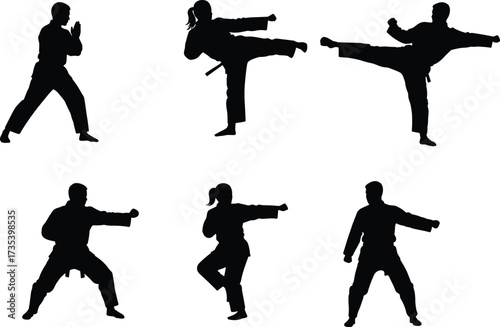 Silhouette martial arts poses, karate kick, taekwondo stance, punching posture, defensive