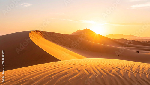 Fototapeta Naklejka Na Ścianę i Meble -  Smooth Sand Dunes at Sunset with Golden Light and Delicate Shadows