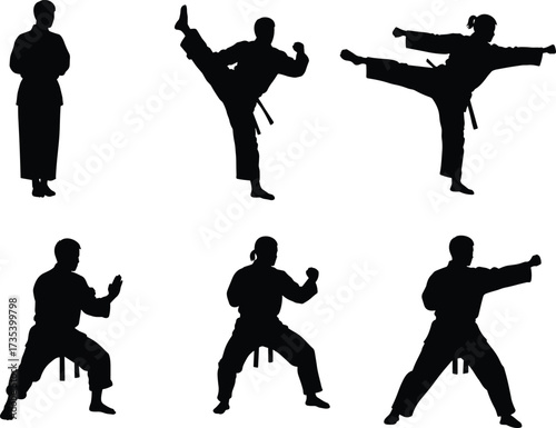 Silhouette martial arts poses, karate kick, taekwondo stance, fighting posture, martial training,