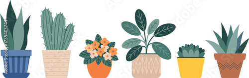 Flat illustration of indoor potted plants, minimalist houseplant decor, succulent, cactus, flower pots, greenery vector, modern home style