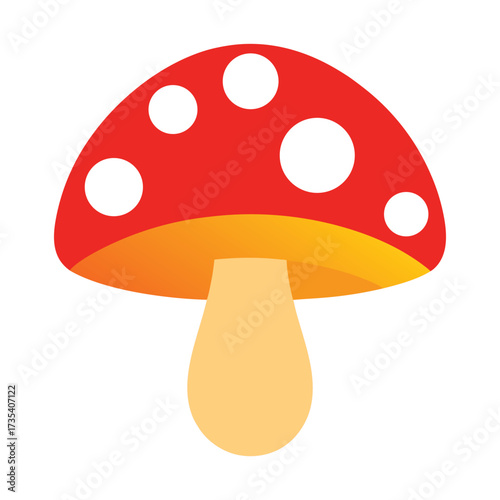mushrooms in a grass