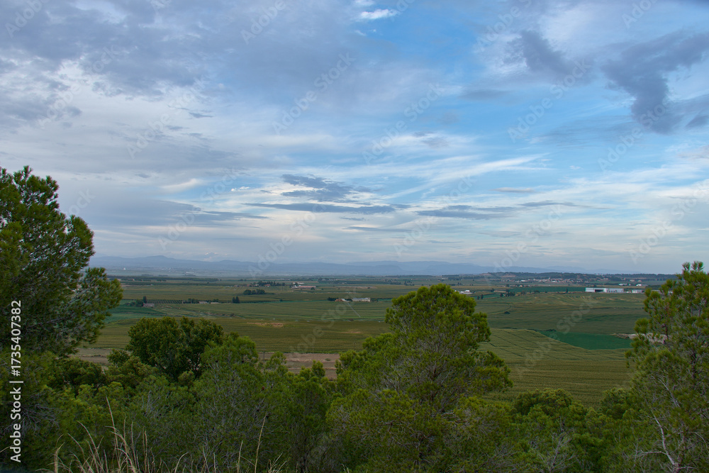 Fototapeta premium Fertile fields in the province of Lleida, Spain, reflecting the natural beauty and productivity of the growing land