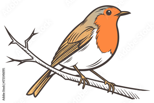 robin on a branch