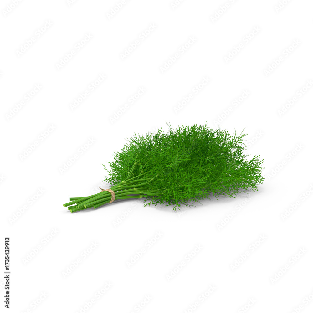 Fototapeta premium Fresh cilantro bunch tied with rope, isolated PNG
