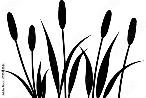 Reeds and Cattails Silhouette Illustration