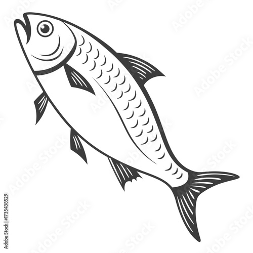 Fish Line Drawing Illustration